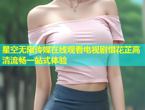 星空无限传媒在线观看电视剧惜花芷高清流畅一站式体验  第1张